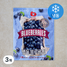 베리밸리 칠레산 블루베리 (냉동), 1kg, 3개