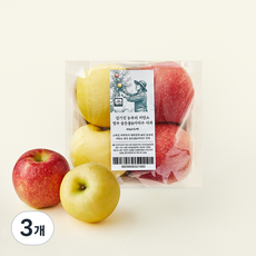 김기진농부 저탄소 인증 영주 골든볼 아리수 사과, 800g, 3개
