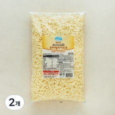 덴마크 동원 대용량 모짜렐라 피자치즈 2, 2.5kg, 2개, 1개입