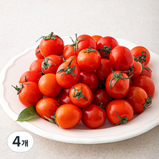 맑은청 청정강원 방울 토마토, 750g, 4개