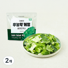 팜에이트 무농약 인증 가뿐한 케일 샐러드믹스 3개입, 210g, 2개