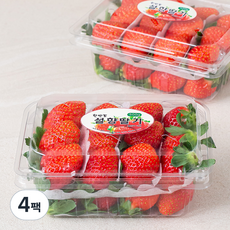 산지직송 한반도 설향 딸기, 500g, 4팩