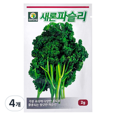 다농 새론파슬리 씨앗 2g, 4개