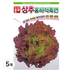 아시아종묘 상추 홍하적축면 씨앗 3000p, 5개