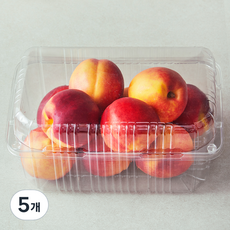한들 천도복숭아, 5개, 1.5kg