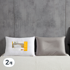케이아이티 마이크로화이바 베개 솜 + 순면 60수 로얄샤틴 쟈가드 베개 커버, 그레이, 2개
