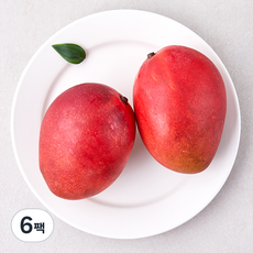 더로얄 대만산 애플망고, 500g(2입), 6팩
