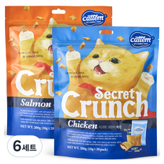 캣템 고양이 시크릿 크런치 간식 세트, 연어 + 치킨, 400g, 6세트