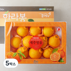 당도선별 제주 위미농협 한라봉, 3kg(대과, 8~10입), 5박스