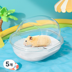 랜보어 햄스터 요트 클리어 모래통 M, 투명, 5개