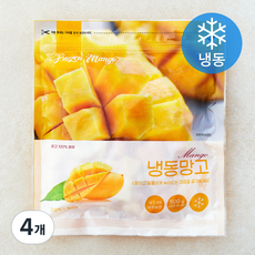 베트남산 망고 (냉동), 4개, 500g