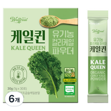 웰트릿 케일퀸 유기농 컬리케일 파우더, 30g, 6개