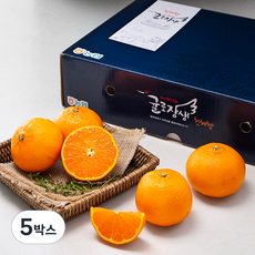 귤로장생 당도선별 천혜향세트, 3kg(11~15입), 5박스