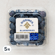 PSK 칠레산 블루베리, 125g, 5팩