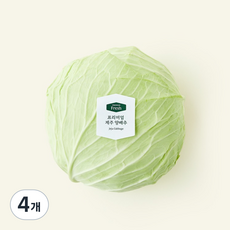 프리미엄 제주 양배추, 1.2kg, 1개입, 4개