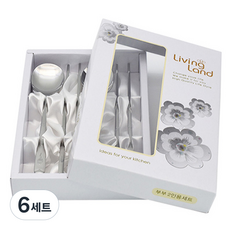 Willive 不鏽鋼水福噴砂餐具組, 銀色, 湯匙 + 筷子, 6套