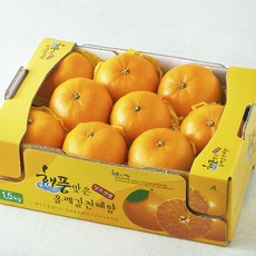 올레길 AI 당도선별 13.5brix 고당도 천혜향, 1.5kg(소과 7~10입), 1박스