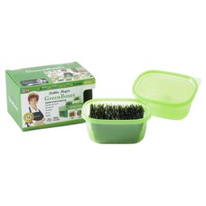 Debbie Meyer Green Box 長方形, 2個, 709ml