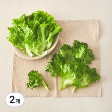 그린래빗 무농약 인증 유러피안 더블믹스 샐러드, 100g, 2개