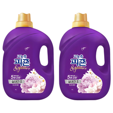 피죤 고농축 시그니처 실내건조 섬유유연제 미스틱레인 본품, 4L, 2개