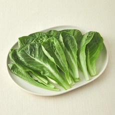 그린래빗 무농약 인증 유러피안 미니로메인 샐러드, 100g, 1개