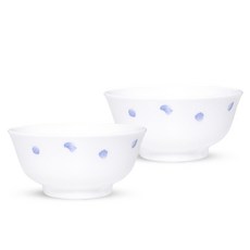 바칠레 메이릴 공기, 혼합색상, 2개
