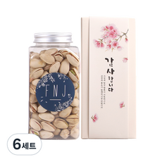 에프앤제이 견과류 선물 DIY 피스타치오 세트, 220g, 6세트