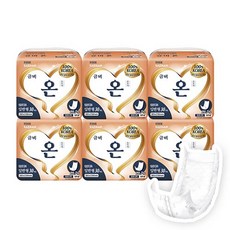 Geumbi 男女通用 On 標準型 成人用內層尿布 SGIN11, 6個, 30枚入