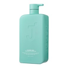 제이숲 카밍세라 청소년 샴푸 2X 프루티 시트러스 향, 1개, 1L 1개, 1L