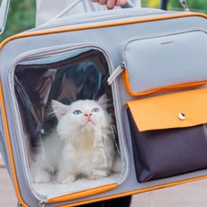 DING DONG PET 貓咪帆布透明後背包, 灰色