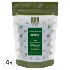 신선약초 야관문환, 300g, 4개