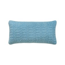 쉬즈홈 베이직 피그먼트 메밀 베개 속통포함, 블루, 1개