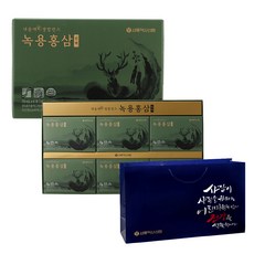 서울약사신협 내몸애 생발란스 녹용홍삼 진액 + 쇼핑백, 2.1L, 1세트