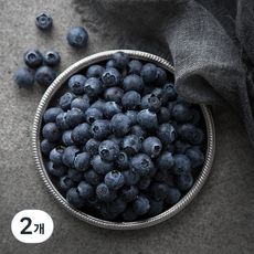 GAP 인증 서래야 블루베리, 300g, 2개