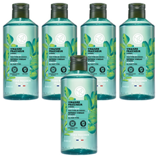 YVES ROCHER 伊夫黎雪 清新淨化辣木髮醋, 5個, 400ml