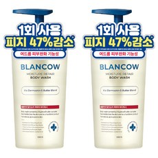 블랑카우 BHA 여드름 기능성 바디워시, 2개, 500ml