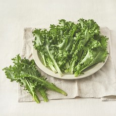 친환경 치커리, 150g, 1개