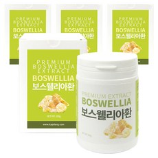 갑당약초 보스웰리아환 고급형, 100g, 4개