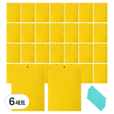 마켓플랜 크롭 초강력 해충 끈끈이 트랩 30p 세트 25 x 30 cm, 6세트