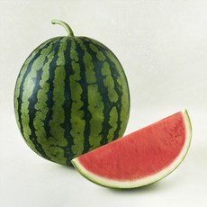 씨적은 11brix 수박, 9kg 이상, 1개