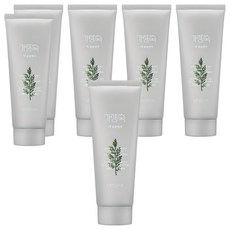 미샤 개똥쑥 팩 폼 클렌저, 150ml, 6개