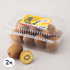 제스프리 제주 골드키위, 1.3kg, 2팩