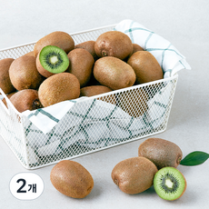 곰곰 제주 참다래 그린키위, 2.1kg(대과), 2개