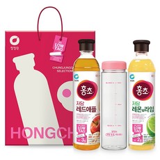 Hongcho 紅醋 低糖紅蘋果 900ml + 檸檬萊姆 900ml + 水瓶套組, 1套, 1.8L