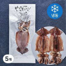 원양산 구룡포 해풍 반건조 오징어 (냉동), 270g(3미), 5개