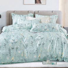 FOCA 吸濕排汗天絲 兩用被床包組