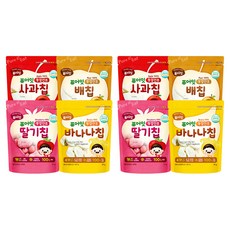 퓨어잇 내이브로 동결건조 과일칩 4종 세트, 2개, 사과맛, 배맛, 딸기맛, 바나나맛