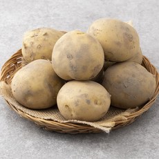 국내산 감자(햇), 1kg, 1개
