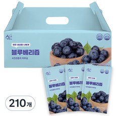 황금이네 블루베리즙, 70ml, 210개
