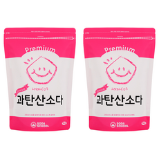소다스쿨 프리미엄 과탄산소다, 1kg, 2개